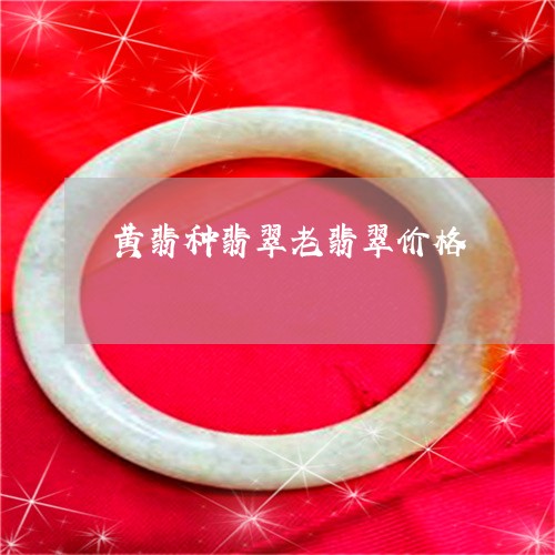 黄翡种翡翠老翡翠价格/2023060359593 黄翡种翡翠老翡翠价格/2023060359593