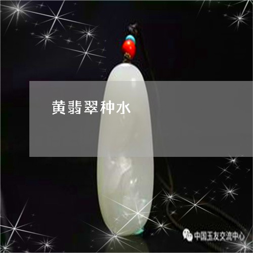 黄翡翠种水/2023071214061