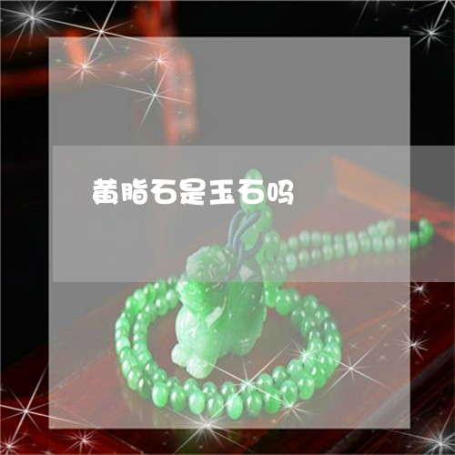 黄脂石是玉石吗/2023032205934