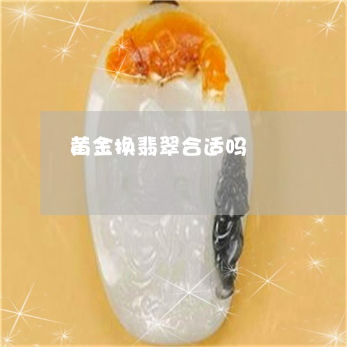 黄金换翡翠合适吗/2023022655948 黄金换翡翠合适吗/2023022655948