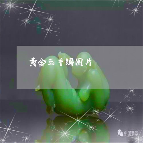黄金玉手镯图片/2023032294835 黄金玉手镯图片/2023032294835