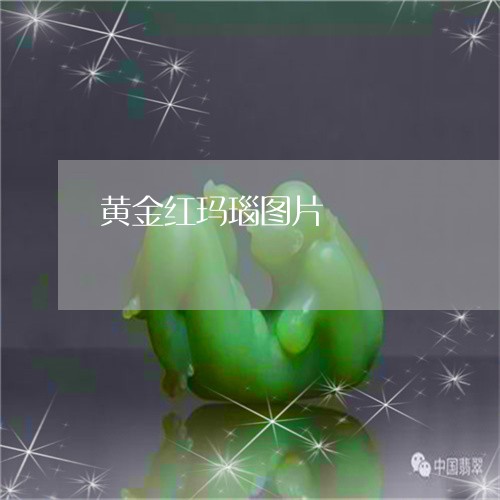 黄金红玛瑙图片/2023032260372 黄金红玛瑙图片/2023032260372
