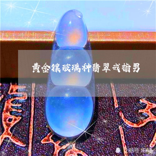 黄金镶玻璃种翡翠戒指男/2023061807069