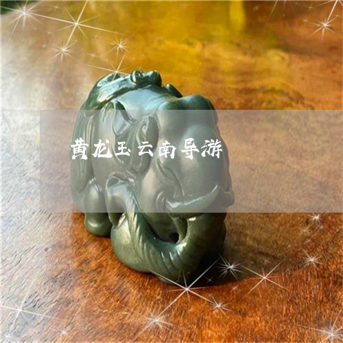 黄龙玉云南导游/2023032280472
