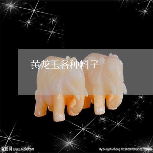 黄龙玉各种料子/2023032228250