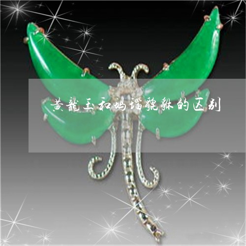 黄龙玉和玛瑙貔貅的区别/2023071073403 黄龙玉和玛瑙貔貅的区别/2023071073403