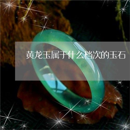 黄龙玉属于什么档次的玉石/2023071159393