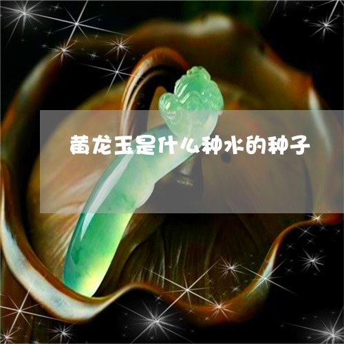 黄龙玉是什么种水的种子/2023061817149