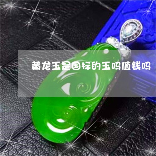 黄龙玉是国标的玉吗值钱吗/2023061978279