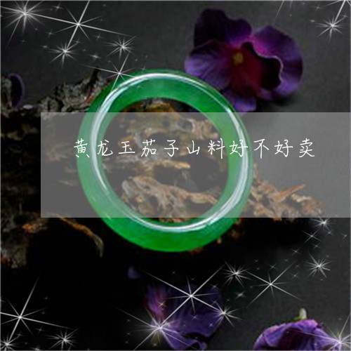 黄龙玉茄子山料好不好卖/2023071096040