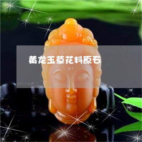 黄龙玉草花料原石/2023022837060