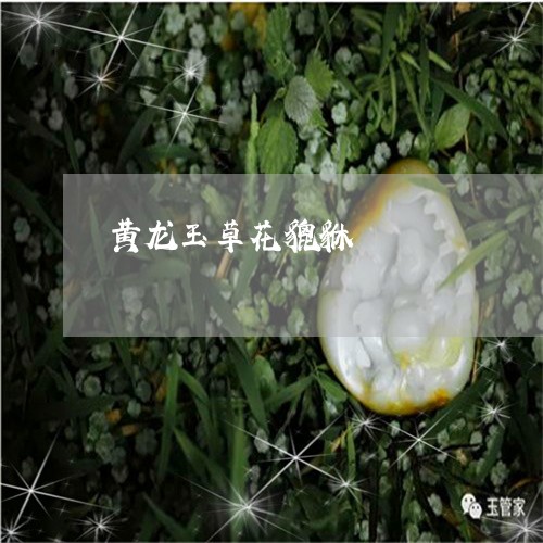 黄龙玉草花貔貅/2023032293935