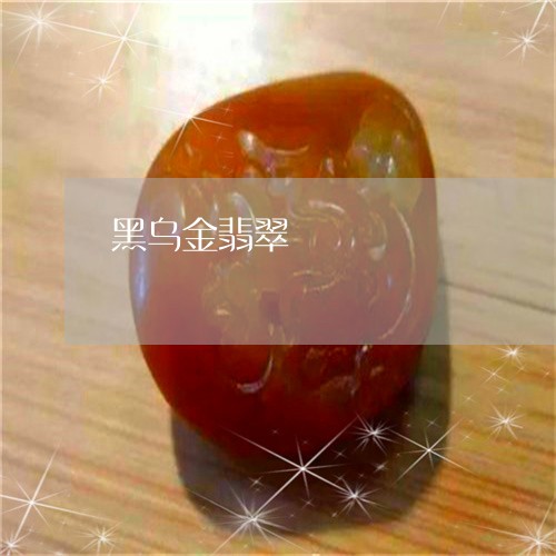 黑乌金翡翠/2023071205068