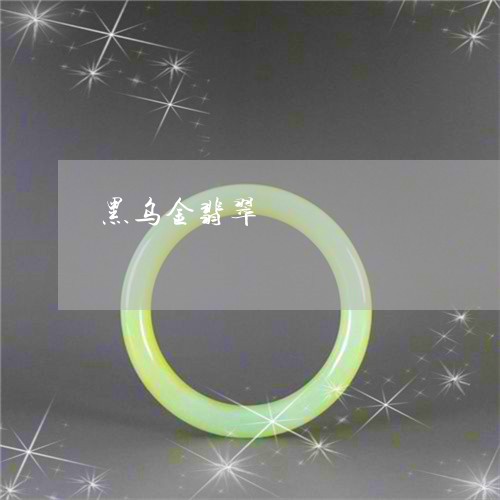 黑乌金翡翠/2023071205939