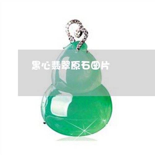 黑心翡翠原石图片/2023022852815