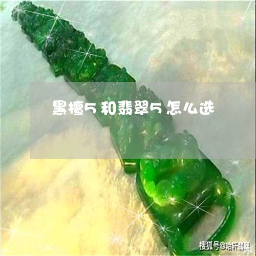 黑檀5和翡翠5怎么选/2023060348472