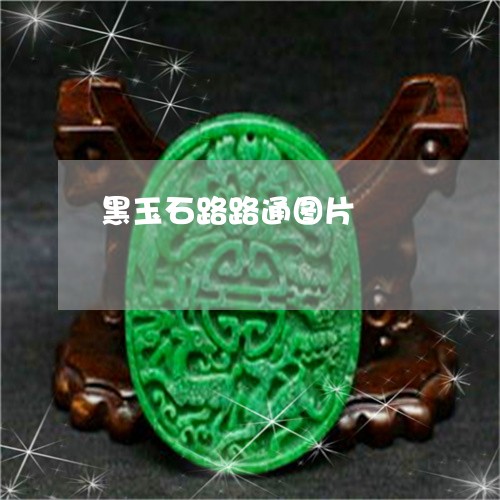 黑玉石路路通图片/2023022897482 黑玉石路路通图片/2023022897482