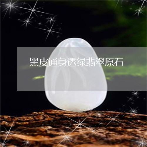 黑皮通身透绿翡翠原石/2023060366846