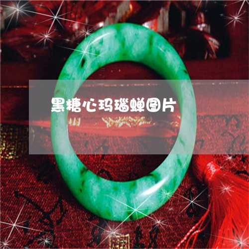 黑糖心玛瑙蝉图片/2023022771795