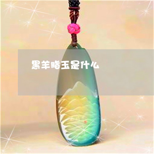 黑羊脂玉是什么/2023032161584 黑羊脂玉是什么/2023032161584