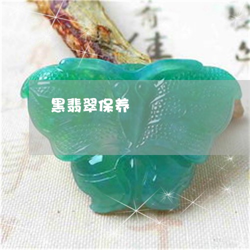 黑翡翠保养/2023071278371 黑翡翠保养/2023071278371