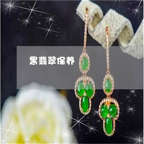 黑翡翠保养/2023071285037 黑翡翠保养/2023071285037