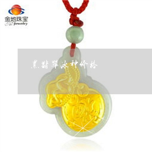 黑翡翠冰种价格/2023032137249