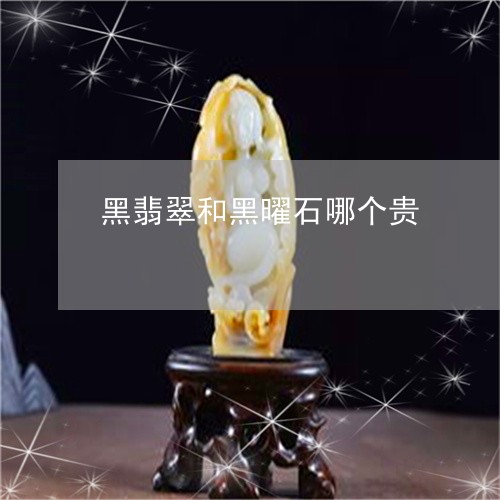 黑翡翠和黑曜石哪个贵/2023060359271