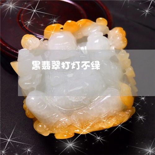 黑翡翠打灯不绿/2023032116268