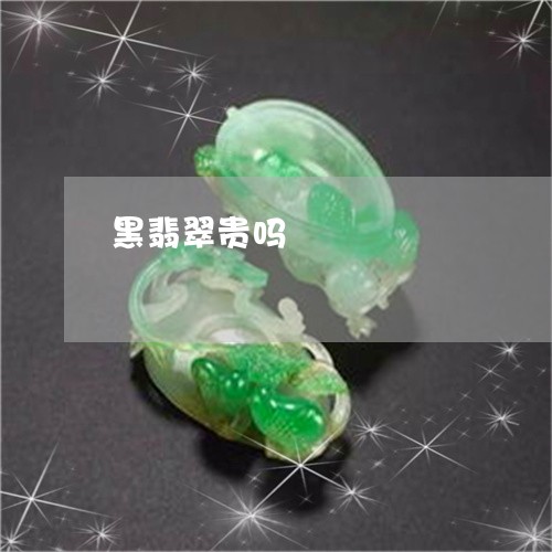 黑翡翠贵吗/2023071216167