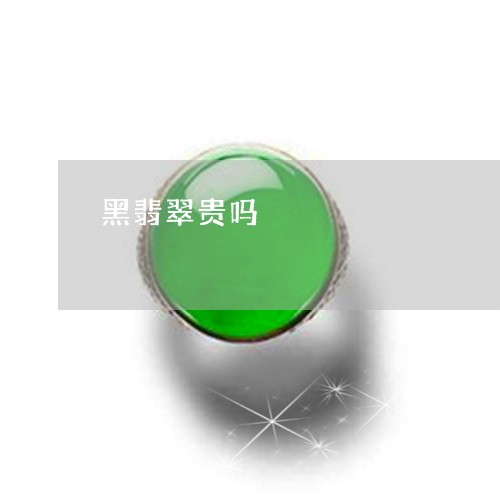 黑翡翠贵吗/2023071226370