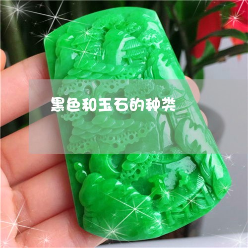 黑色和玉石的种类/2023022654149 黑色和玉石的种类/2023022654149