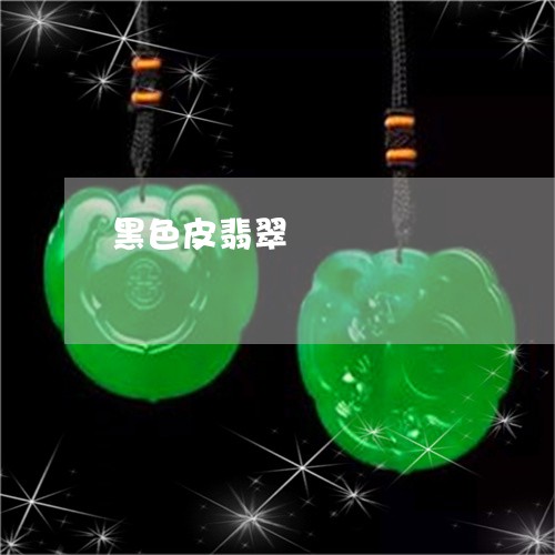 黑色皮翡翠/2023071249261