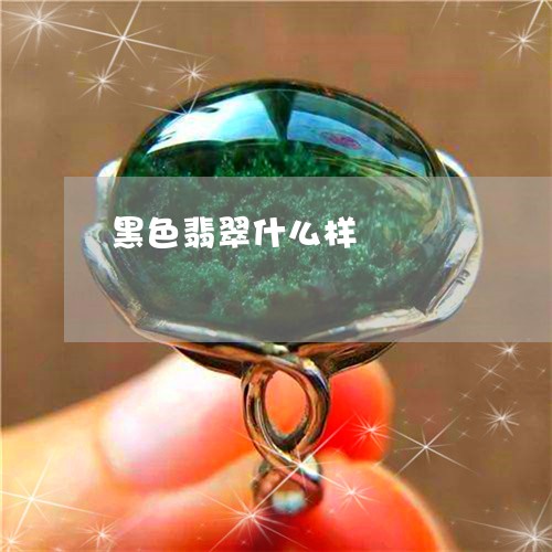 黑色翡翠什么样/2023032173824