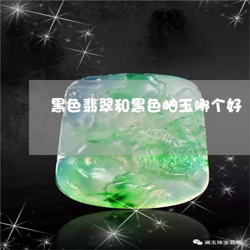 黑色翡翠和黑色岫玉哪个好/2023071177262