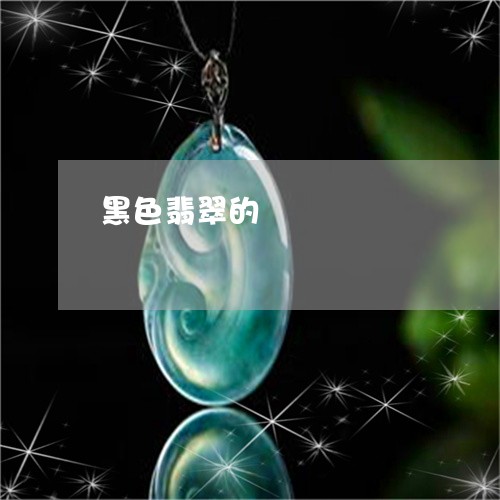 黑色翡翠的/2023071260503