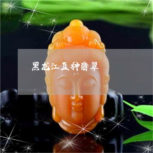 黑龙江豆种翡翠/2023032134239 黑龙江豆种翡翠/2023032134239