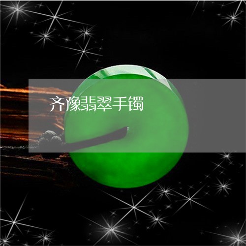 齐豫翡翠手镯/2023071607270