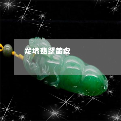 龙坑翡翠黄皮/2023071573704