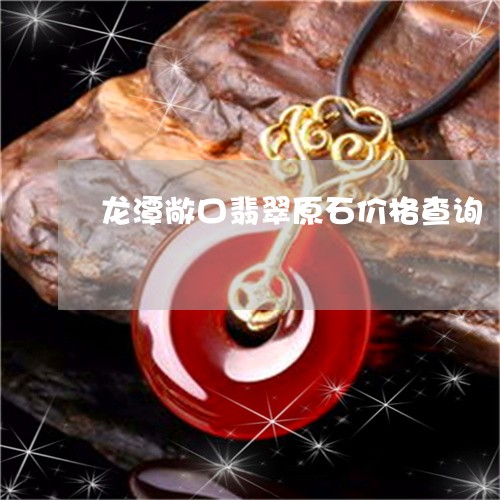 龙潭敞口翡翠原石价格查询/2023061903826