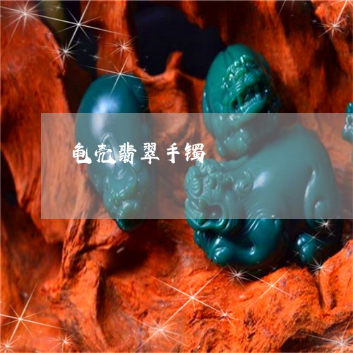 龟壳翡翠手镯/2023071504814