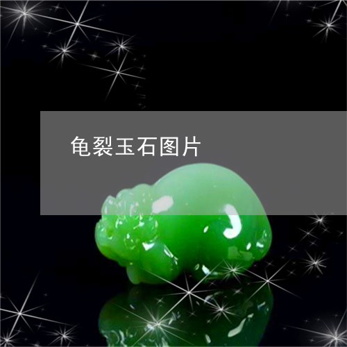 龟裂玉石图片/2023071569471