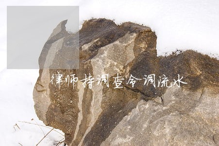 律师持调查令调流水