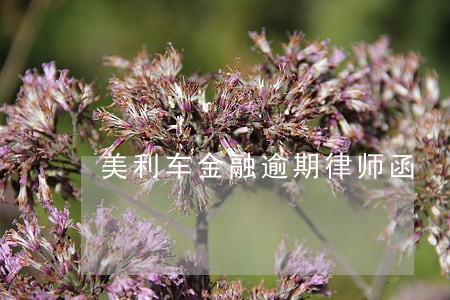 ڳ(ڳû,ӻ᲻ᱻյ)