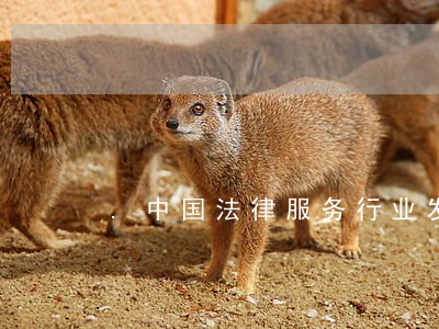 .中国法律服务行业发展现状