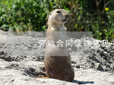 .劳动合同法律意见书 .劳动合同法律意见书