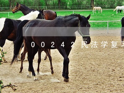 00242民法学复习考试重点 00242民法学复习考试重点