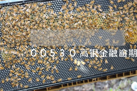 00530高银金融逾期