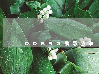 00852消费逾期