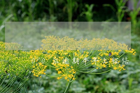 00后逾期半年上征信 00后逾期半年上征信